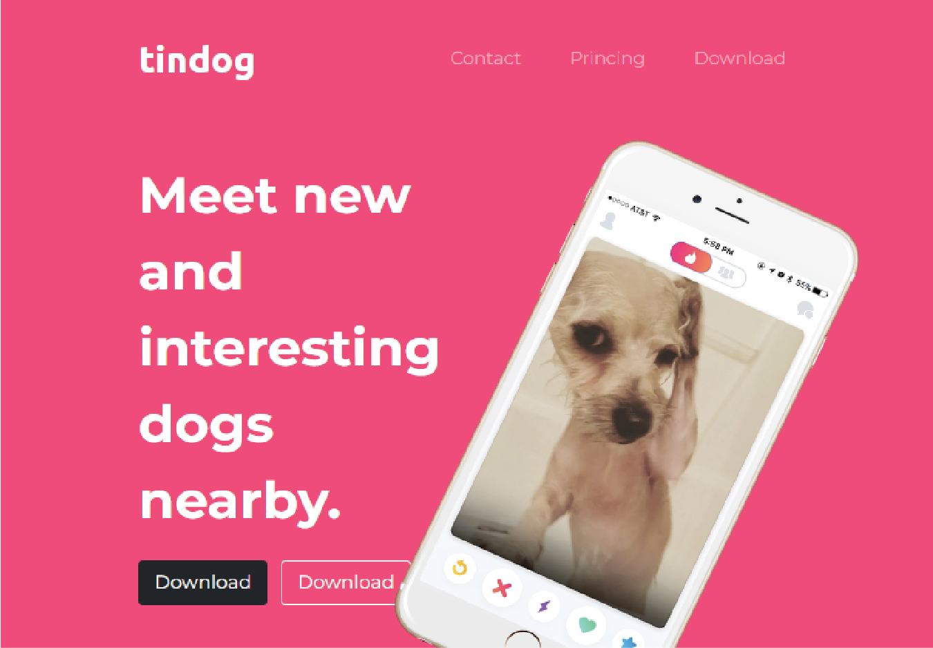 tindog